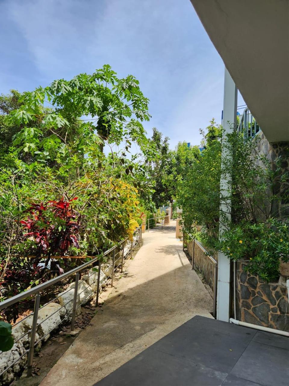 Hotel Ticozuma Montezuma Luaran gambar